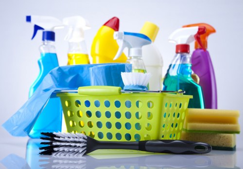 Shirley Carpet Cleaners team performing professional carpet cleaning in a home