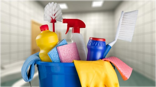 Carpet cleaner preparing equipment safely in a home setting
