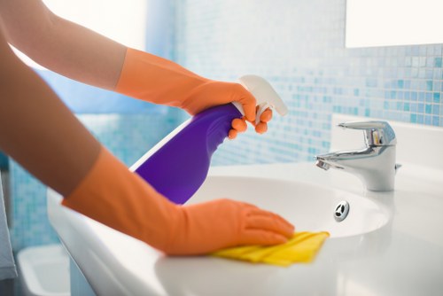Enzyme cleaning for pet odour removal in Shirley