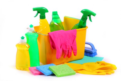 Professional curtain cleaning Shirley removing dust and allergens