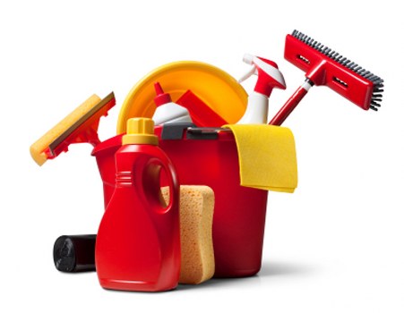 Professional hot water extraction process for carpet cleaning in Shirley